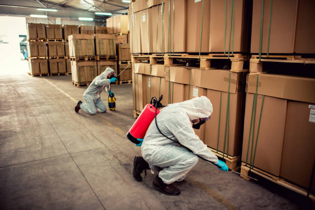 Best Emergency Pest Control  in Cadott, WI