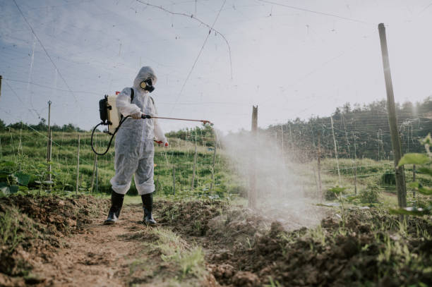 Best Best Pest Control Companies  in Cadott, WI