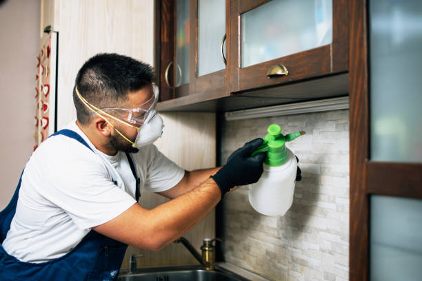 Best Residential Pest Control  in Cadott, WI