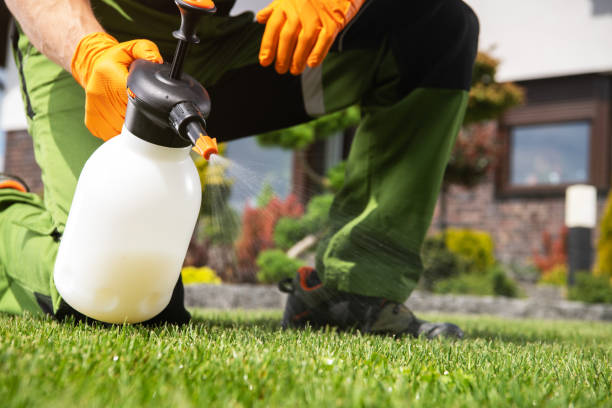 Best Commercial Pest Control Services  in Cadott, WI