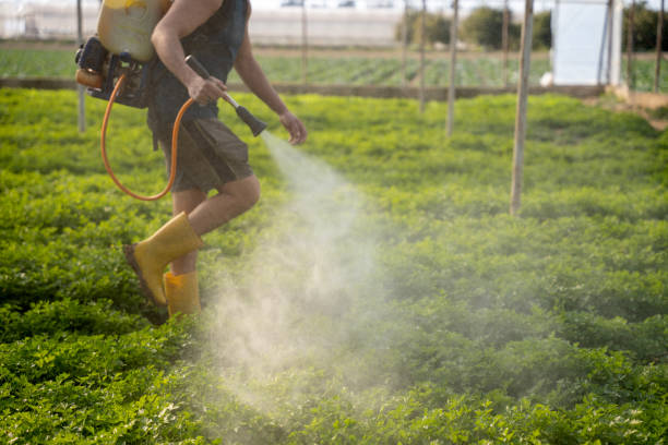Best Residential Pest Control  in Cadott, WI