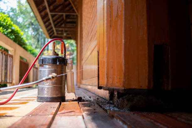 Best Pest Control Treatment  in Cadott, WI