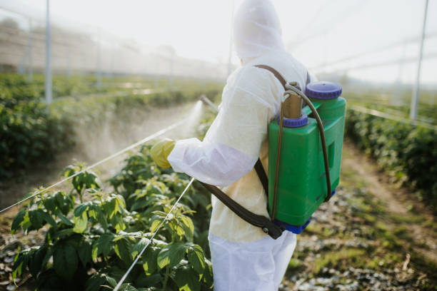 Best Affordable Pest Control Services  in Cadott, WI